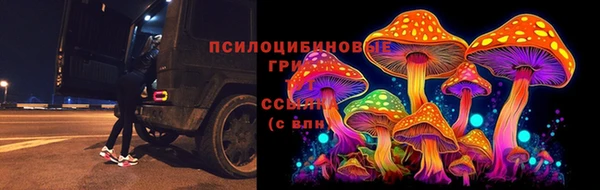 молекула духа Лабытнанги
