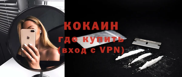молекула духа Лабытнанги