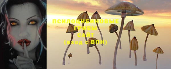 2c-b Видное