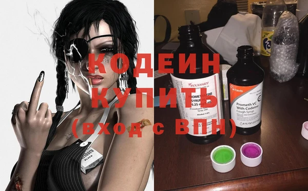 молекула духа Лабытнанги