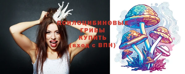 герыч Лагань