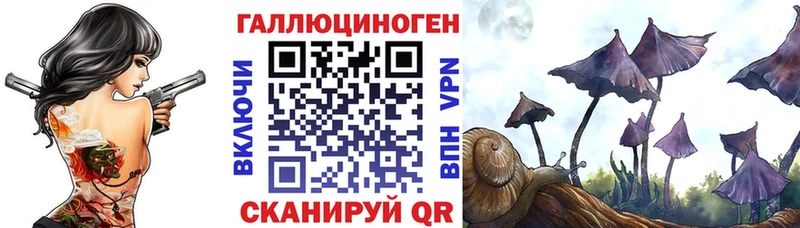 Купить где  Кондрово  Галлюциногенные грибы Cubensis 